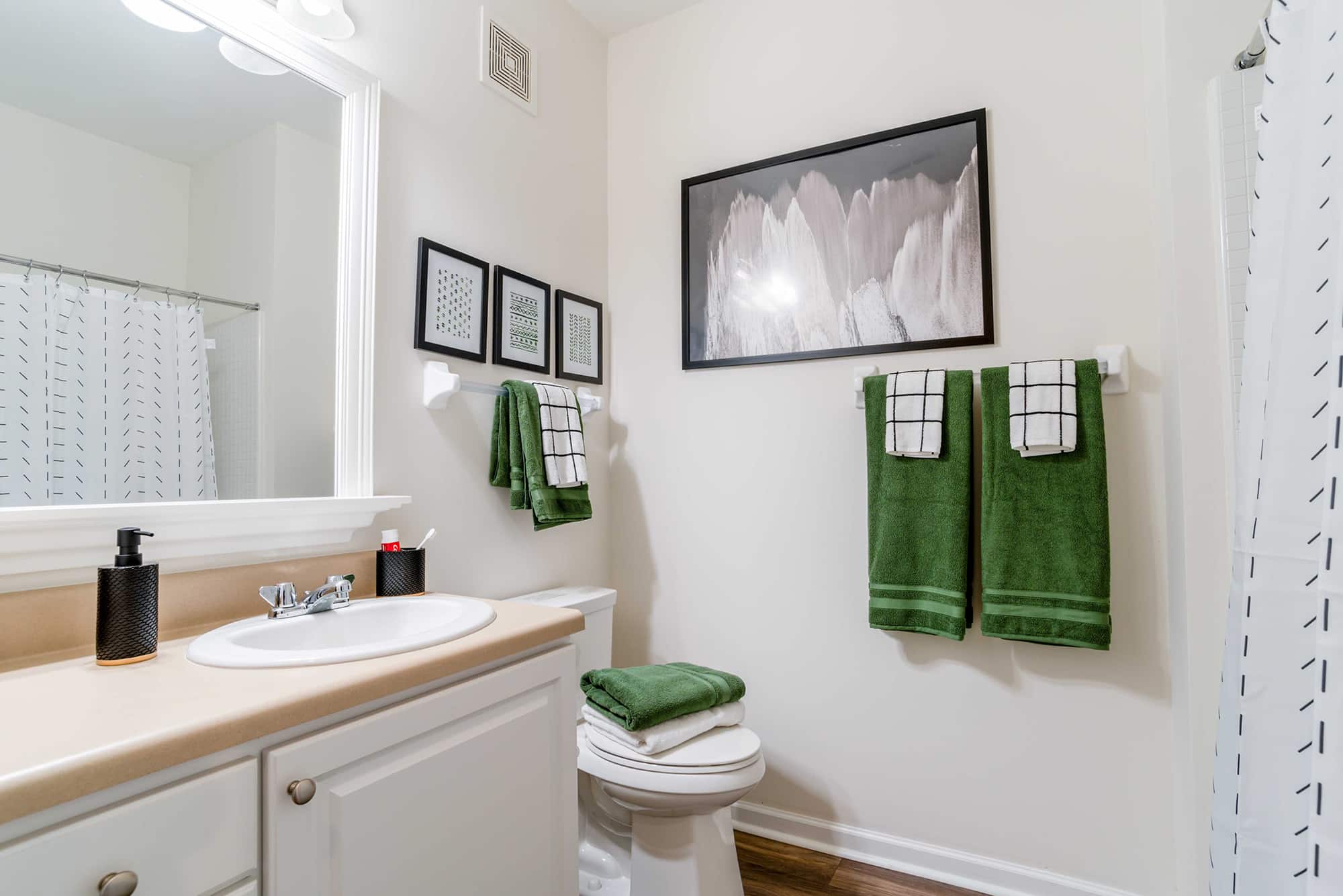 the-province-greensboro-apartments-near-uncg-private-bathroom